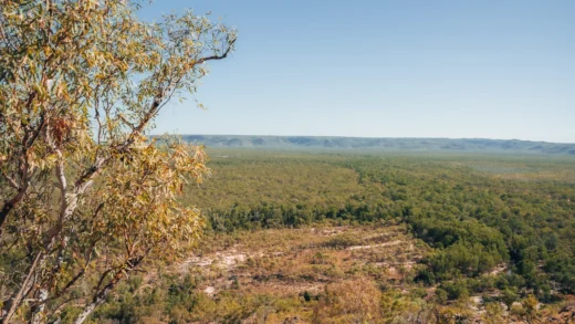 e1blog | Mirray Lookout: Panoramic Views of Kakadu