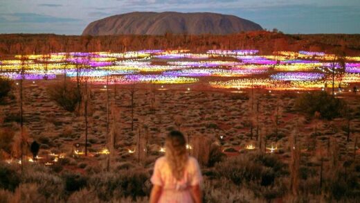 e1blog | Navigating the Uluru-Kata Tjuta National Park Gate